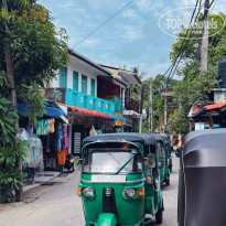 фото из отзыва ID 2738550