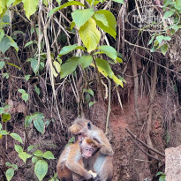 фото из отзыва ID 2738550