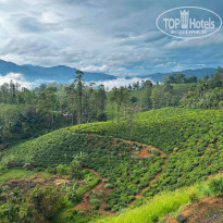 фото из отзыва ID 2738550