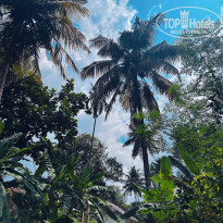 фото из отзыва ID 2738550