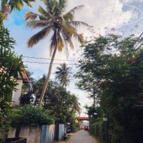 фото из отзыва ID 2738550