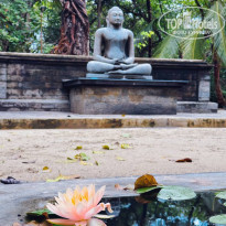 фото из отзыва ID 2738550