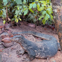 фото из отзыва ID 2738550