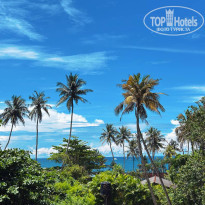 фото из отзыва ID 2738550