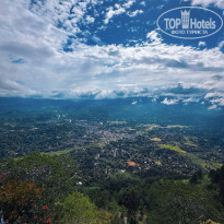 фото из отзыва ID 2738550