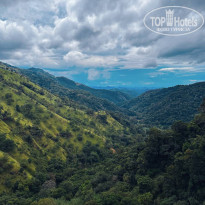 фото из отзыва ID 2738550