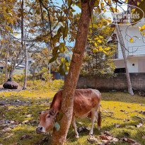 фото из отзыва ID 2738550