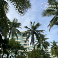 фото из отзыва ID 2738555