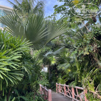 фото из отзыва ID 2738555