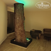 фото из отзыва ID 2738568