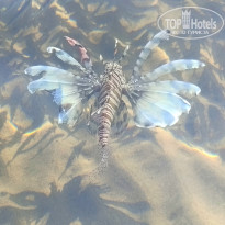 фото из отзыва ID 2738572