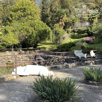 фото из отзыва ID 2738577