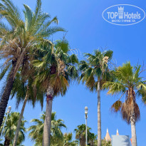 фото из отзыва ID 2738579