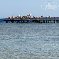 фото из отзыва ID 2738583