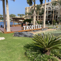 фото из отзыва ID 2738583