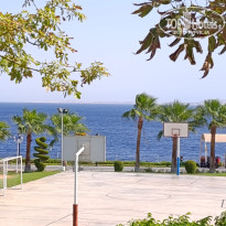 фото из отзыва ID 2738592