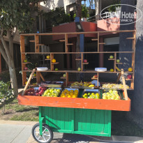 фото из отзыва ID 2738593