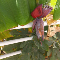 фото из отзыва ID 2738594