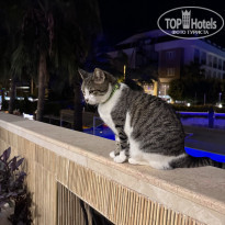 фото из отзыва ID 2738600