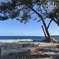 фото из отзыва ID 2738600