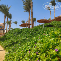 фото из отзыва ID 2738599