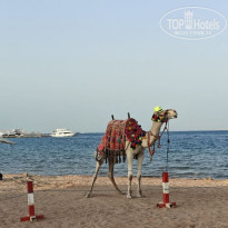 фото из отзыва ID 2738605