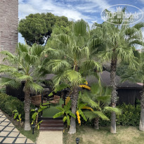 фото из отзыва ID 2738612