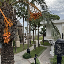 фото из отзыва ID 2738612