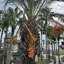 фото из отзыва ID 2738612