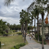 фото из отзыва ID 2738612