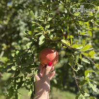 фото из отзыва ID 2738612