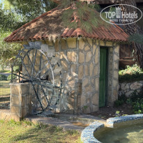 фото из отзыва ID 2738612