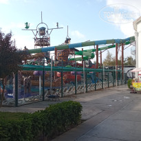 фото из отзыва ID 2738610