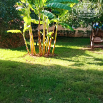 фото из отзыва ID 2738610