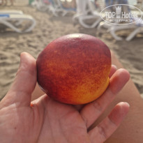 фото из отзыва ID 2738623