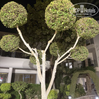 фото из отзыва ID 2738635