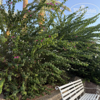 фото из отзыва ID 2738635