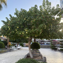 фото из отзыва ID 2738635