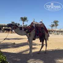 фото из отзыва ID 2738635