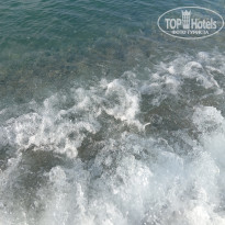 фото из отзыва ID 2738626