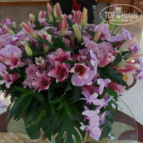 фото из отзыва ID 2734001