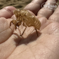 фото из отзыва ID 2738656