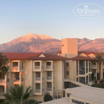 фото из отзыва ID 2738660