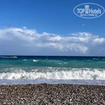 фото из отзыва ID 2738660