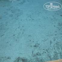 фото из отзыва ID 2738388