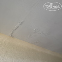 фото из отзыва ID 2738388