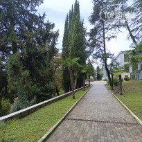 фото из отзыва ID 2738691