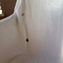 фото из отзыва ID 2738695