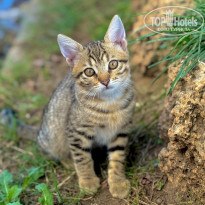 фото из отзыва ID 2738667