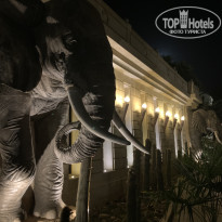 фото из отзыва ID 2738641